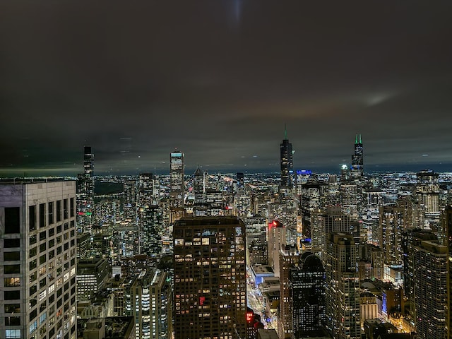 175 E Delaware Pl Unit 7511, Chicago, IL 60611 - view of city