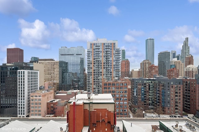 170 W Polk St Unit 1408, Chicago, IL 60605 - view of city