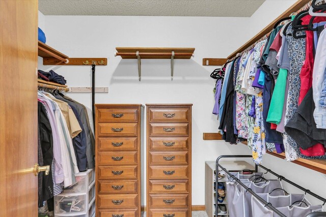 2805 Susan Stone Dr, Urbana, IL 61802 - view of walk in closet