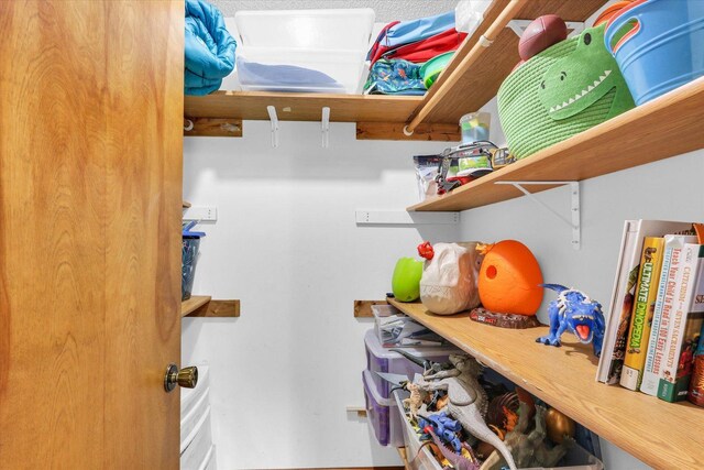 2805 Susan Stone Dr, Urbana, IL 61802 - view of storage room