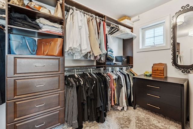 4532 Douglas Rd, Downers Grove, IL 60515 - walk in closet with light carpet
