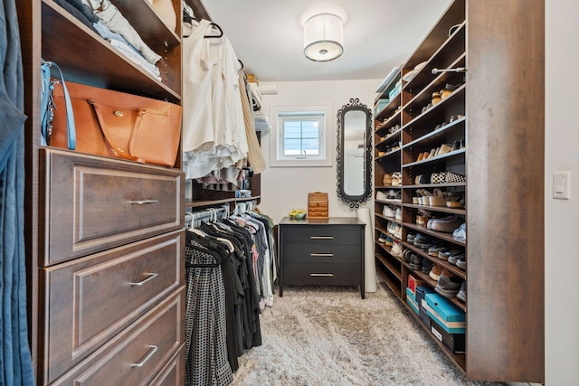 4532 Douglas Rd, Downers Grove, IL 60515 - spacious closet featuring light colored carpet