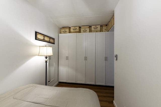 255 S W Ave Unit 101, Elmhurst, IL 60126 - bedroom featuring dark wood-style flooring
