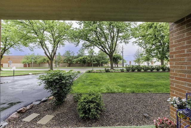 255 S W Ave Unit 101, Elmhurst, IL 60126 - view of green lawn
