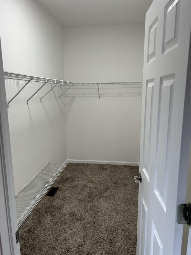 walk in closet featuring carpet