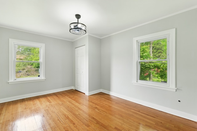 12132 S Wentworth Ave, Chicago, IL 60628 - photo 9