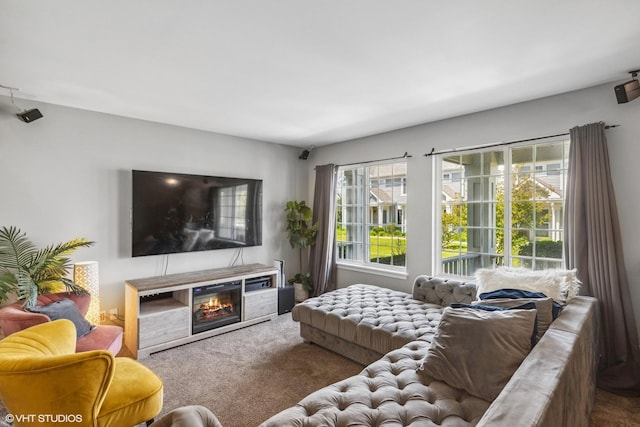 39642 N Warren Ln Unit 0, Beach Park, IL 60083 - living area featuring carpet and a glass covered fireplace