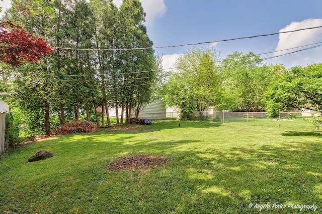 view of yard