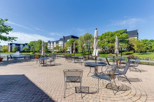 225 Lake Blvd Unit 546, Buffalo Grove, IL 60089 - view of community
