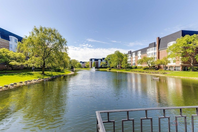 225 Lake Blvd Unit 546, Buffalo Grove, IL 60089 - water view