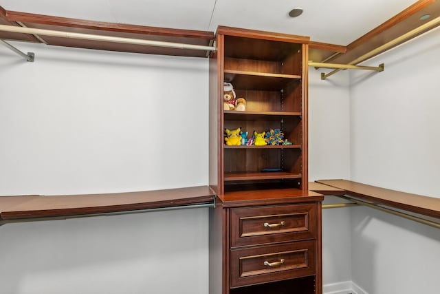 130 N Garland Ct Unit 3803, Chicago, IL 60602 - view of walk in closet