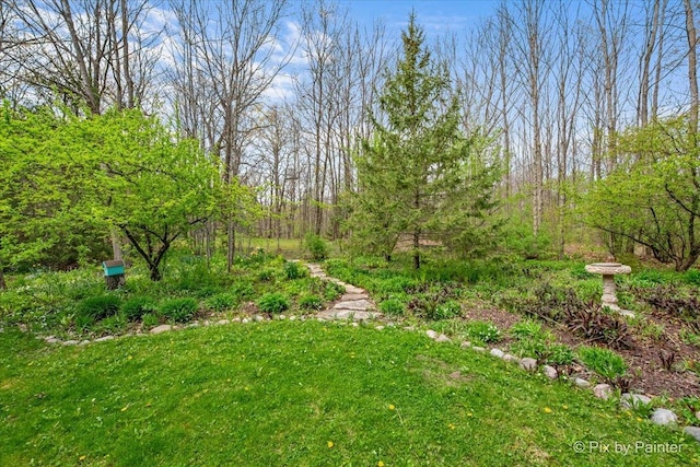 43W212 Tall Pines Rd, Campton Hills, IL 60124 - view of grassy yard with a view of trees