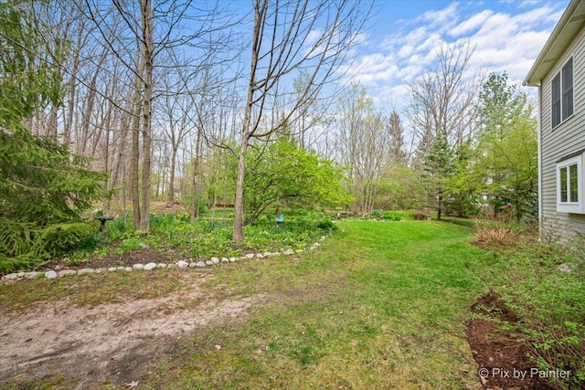 43W212 Tall Pines Rd, Campton Hills, IL 60124 - view of green lawn