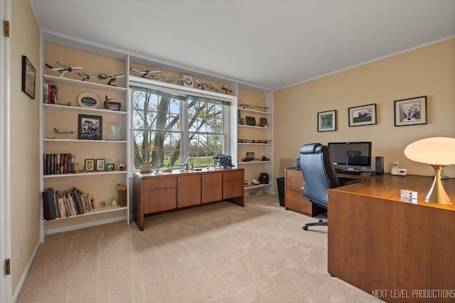 554 Carriage Hill Rd, Naperville, IL 60565 - office space with light colored carpet, built in features, and ornamental molding