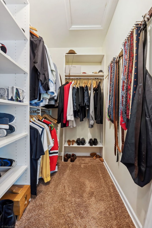 396 Jervey Ln, Bartlett, IL 60103 - walk in closet featuring attic access and carpet