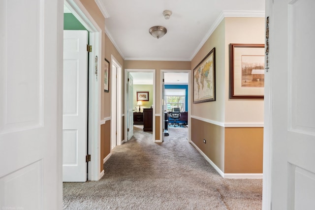396 Jervey Ln, Bartlett, IL 60103 - corridor featuring carpet, ornamental molding, baseboards, and an office area