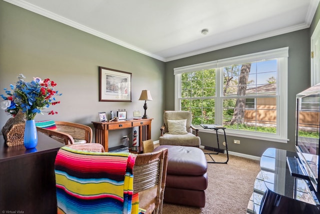 396 Jervey Ln, Bartlett, IL 60103 - sitting room with carpet, baseboards, plenty of natural light, ornamental molding, and an office area
