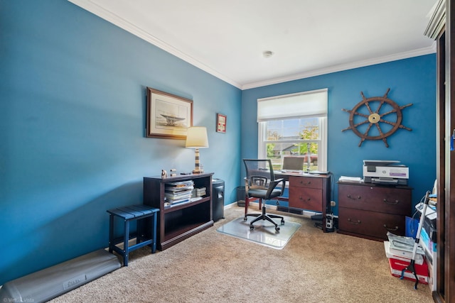 396 Jervey Ln, Bartlett, IL 60103 - office area with carpet flooring and crown molding