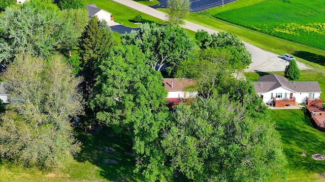 drone / aerial view