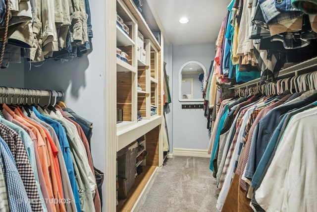 90 Golfview Rd, Lake Zurich, IL 60047 - spacious closet featuring carpet flooring