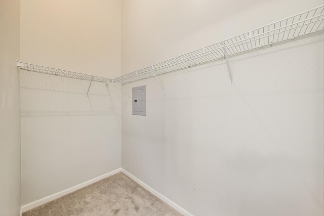 2136 W Evergreen Ave Unit 3B, Chicago, IL 60622 - walk in closet with electric panel and light carpet