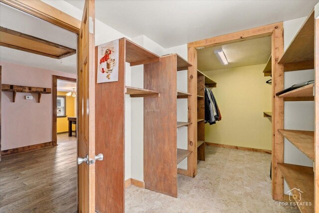 206 Walnut St, Cherry Valley, IL 61016 - view of walk in closet