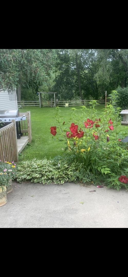 206 Walnut St, Cherry Valley, IL 61016 - view of yard