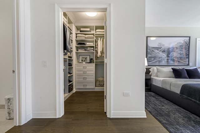 walk in closet with dark wood-style flooring