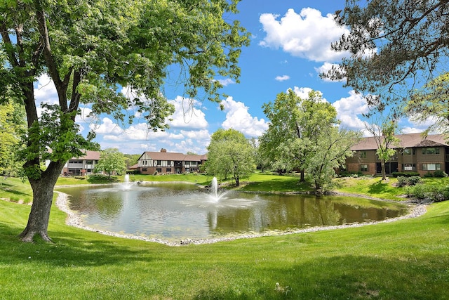 13151 S Westview Dr Unit 1B, Palos Heights, IL 60463 - water view