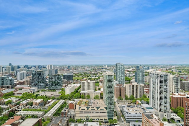 1030 N State St Unit 42L, Chicago, IL 60610 - view of city