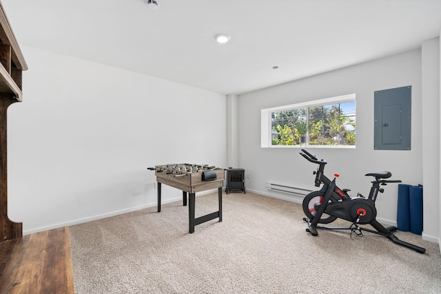 1447 Yosemite Way, Pingree Grove, IL 60140 - workout room with electric panel, baseboards, and carpet