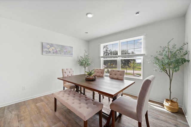 1447 Yosemite Way, Pingree Grove, IL 60140 - dining area with light wood-style floors, baseboards, and recessed lighting