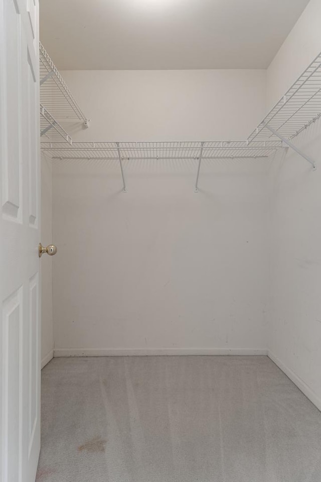 1985 Blackberry Ln Unit 1985, Hoffman Estates, IL 60169 - spacious closet with light carpet
