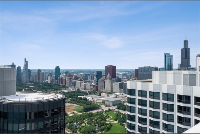 195 N Harbor Dr Unit 4305, Chicago, IL 60601 - city view