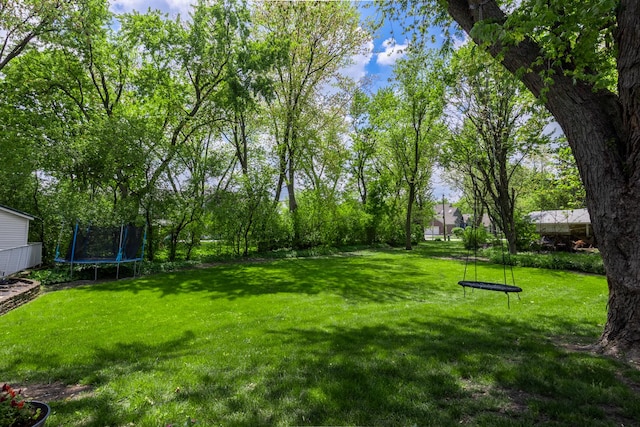 1723 Columbine Dr, Schaumburg, IL 60173 - view of grassy yard with a trampoline and view of scattered trees