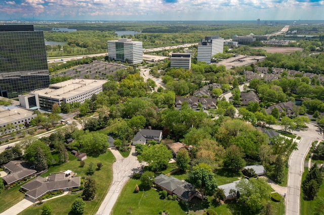 1723 Columbine Dr, Schaumburg, IL 60173 - aerial view of a tree filled landscape