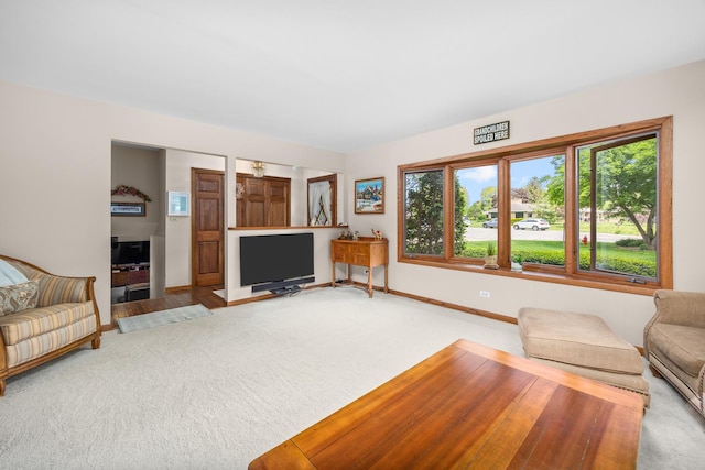 1723 Columbine Dr, Schaumburg, IL 60173 - carpeted living room with baseboards