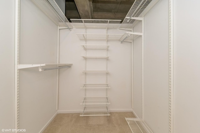 5200 S Ellis Ave Unit 211, Chicago, IL 60615 - walk in closet with carpet