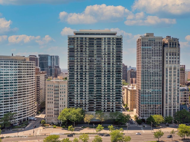 1212 N Lake Shore Dr Unit 12Cn, Chicago, IL 60610 - view of city