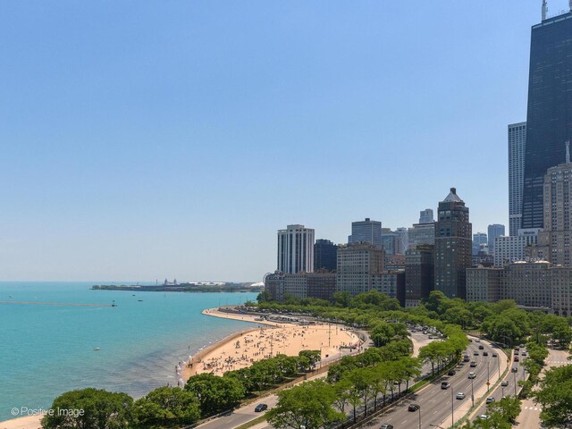 1212 N Lake Shore Dr Unit 12Cn, Chicago, IL 60610 - water view featuring a view of skyline and local beach