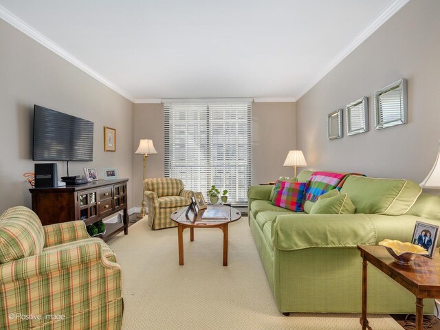 1212 N Lake Shore Dr Unit 12Cn, Chicago, IL 60610 - carpeted living area with crown molding and baseboards