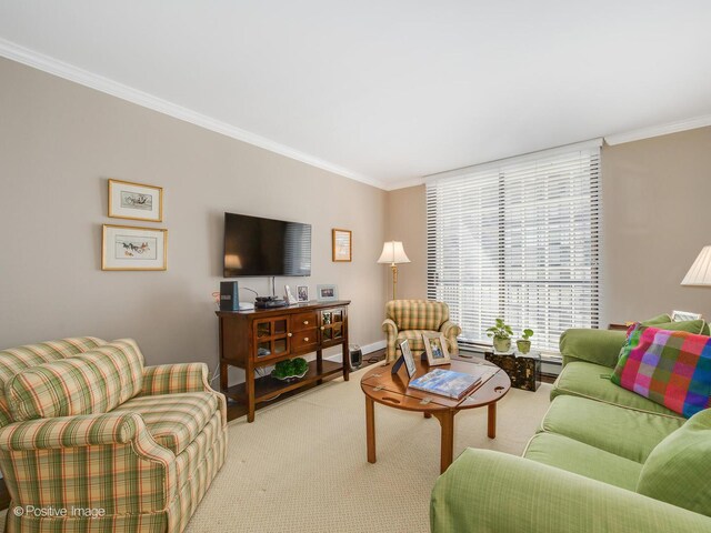 1212 N Lake Shore Dr Unit 12Cn, Chicago, IL 60610 - living area with crown molding and light colored carpet