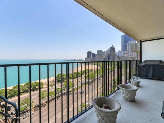 1212 N Lake Shore Dr Unit 12Cn, Chicago, IL 60610 - balcony with grilling area, a skyline view, and a water view