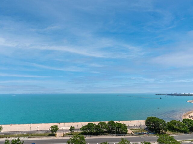 1212 N Lake Shore Dr Unit 12Cn, Chicago, IL 60610 - water view with local beach