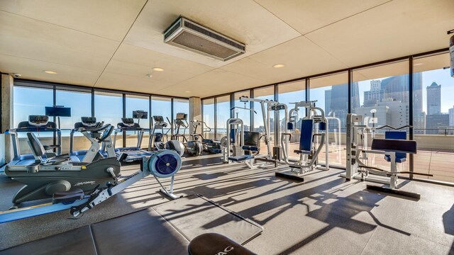 1212 N Lake Shore Dr Unit 12Cn, Chicago, IL 60610 - workout area featuring a wall of windows