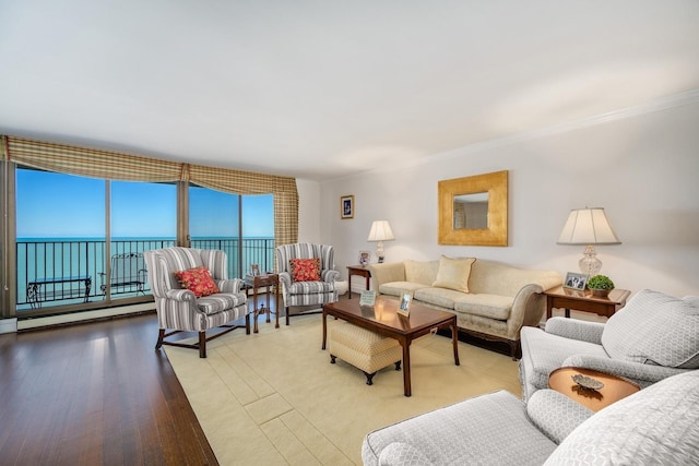 1212 N Lake Shore Dr Unit 12Cn, Chicago, IL 60610 - living area with ornamental molding, a water view, and wood finished floors