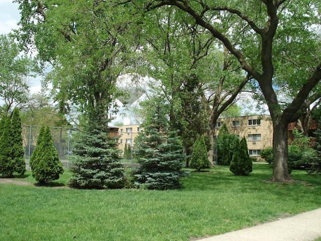 view of green lawn