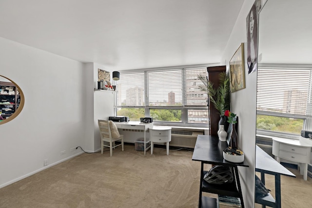 4800 S Chicago Beach Dr Unit 1106S, Chicago, IL 60615 - office with carpet flooring and healthy amount of natural light