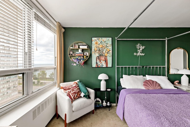 4800 S Chicago Beach Dr Unit 1106S, Chicago, IL 60615 - view of carpeted bedroom
