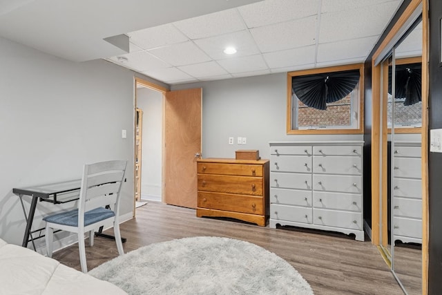 1235 Euclid Ave, Berwyn, IL 60402 - bedroom with wood finished floors, a drop ceiling, and recessed lighting